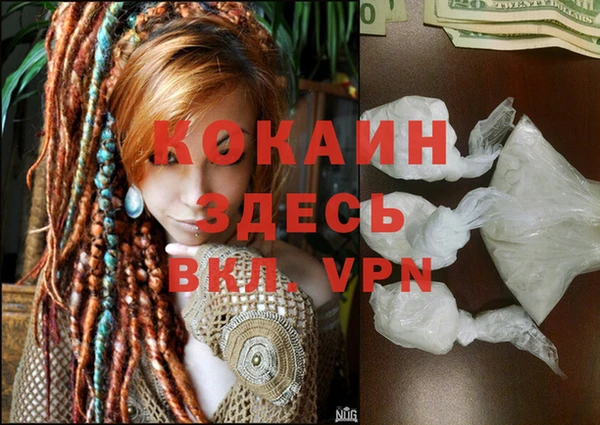 стаф Няндома