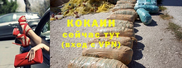 стаф Няндома