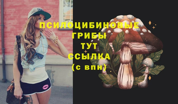 стаф Няндома